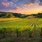 US farmland delivers -0.20% average total return in Q1 2026: NCREIF