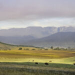 Buckland Valley in autumn with Mount Buffalo in the background on a smokey morning