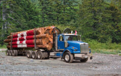 Canadian timber