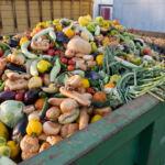 Mitsubishi backs Series C valuing food waste to RNG company at $1bn Image of produce in a large waste bin.