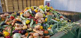 Image of produce in a large waste bin.