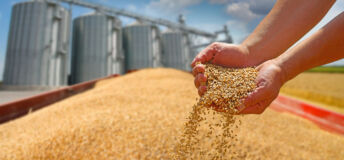 Iran war tests GCC food security playbooks