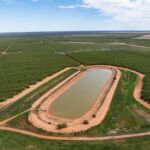 Aware Super puts $400m Australian almond portfolio up for sale