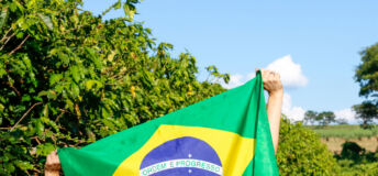 Brazilโs Supreme Court tightens restrictions on foreign land ownership