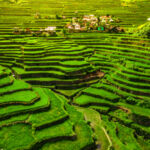 A photo of a village amongst fields in The Philippines