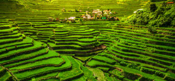 A photo of a village amongst fields in The Philippines