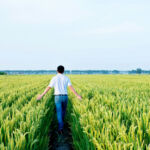 Getting comfortable in agriculture’s โconstant cycle of uncertaintyโ Man walking in a rice field