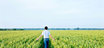 Man walking in a rice field