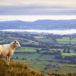 English countryside