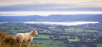 English countryside
