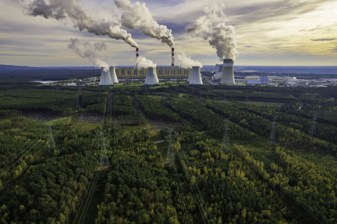 Coal-fired power station and forest