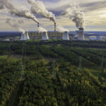Coal-fired power station and forest