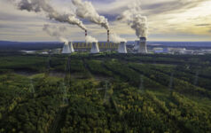 Coal-fired power station and forest