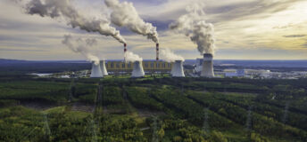 Coal-fired power station and forest