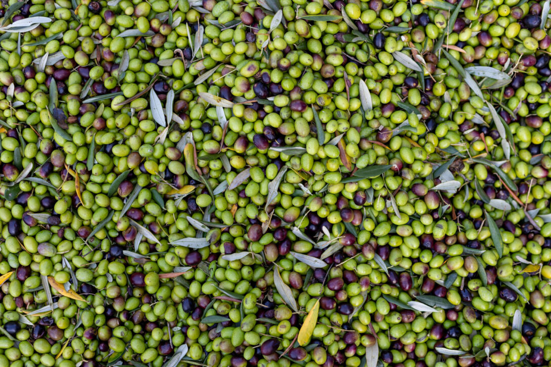 Olives