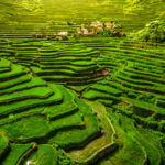 Philippinesโ sovereign wealth fund wants to ‘catalyze’ its agriculture sector The 2000-year-old World Heritage Ifugao rice terraces in Batad, northern Luzon, Philippines.