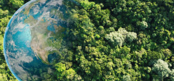 mock-up of forest and earth view from above