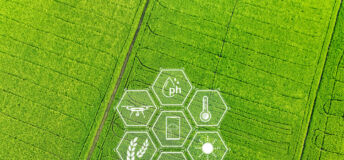 Smart farm
