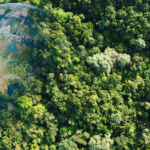 Aerial view of green forests with earth, Green planet in your hands, Save Earth, Texture of forest view from above of healthy ecosystem and environment