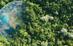 Aerial view of green forests with earth, Green planet in your hands, Save Earth, Texture of forest view from above of healthy ecosystem and environment
