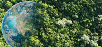 Aerial view of green forests with earth, Green planet in your hands, Save Earth, Texture of forest view from above of healthy ecosystem and environment