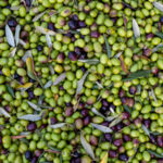 A photo of a pile of Olives
