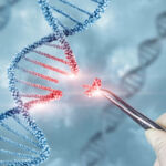 EU’s gene-editing shift tests Brussels’ global pull