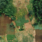 Acumen raises $90m for Resilient Agriculture Fund II Farm in Nigeria