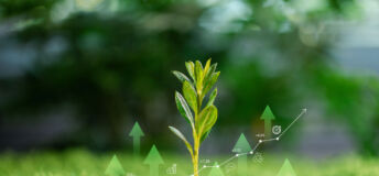Record year for nature investment is a sign of innovation Young plant sprouting from coins on green moss with rising arrow, market chart overlay. Concept of green investment, ESG finance, sustainable growth, ROI and climate impact returns. green investment