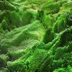 Abstract green to represent forest from above