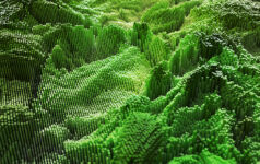 Proof, not promises: Why scientific due diligence matters for forest investment Abstract green to represent forest from above