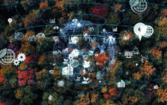 Planet sphere illustration on overhead pic of autumn forest