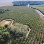 An aerial photo of fields