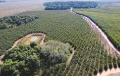 An aerial photo of fields