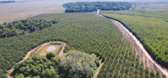 An aerial photo of fields