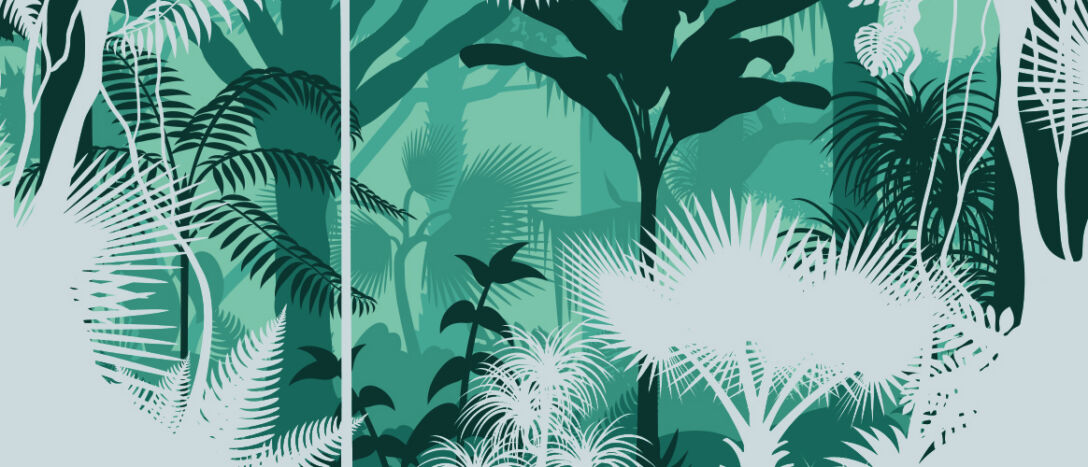 Forest illustration