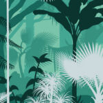 Forest illustration