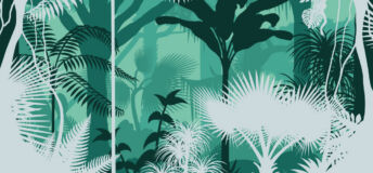 Forest illustration