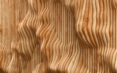 Close-up of wood grain