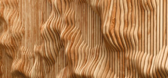 Close-up of wood grain