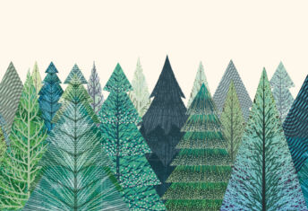 Three key trends in forestry investing