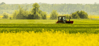 A photo of a tractor in a field