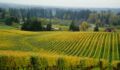 A photo of fields