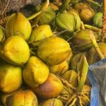 Yellow coconuts