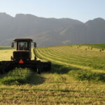 South African farm