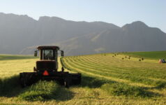 South African farm
