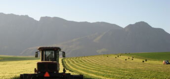 South African farm