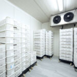 Family-owned cold storage stands to capture nutrient density opportunity: Rabobank Image depicting a cold storage room.