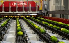Aweta Citrus line