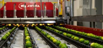 Aweta Citrus line